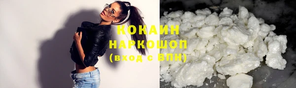 ГАЛЛЮЦИНОГЕННЫЕ ГРИБЫ Гусь-Хрустальный