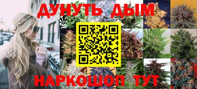 шишки Бийск