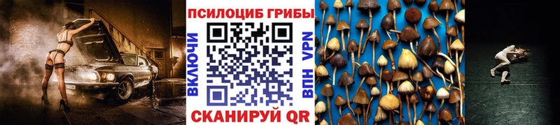 купить закладку  Гусь-Хрустальный  Псилоцибиновые грибы Psilocybine cubensis 