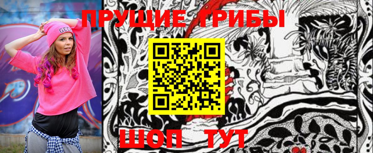 Галлюциногенные грибы Psilocybine cubensis Гусь-Хрустальный