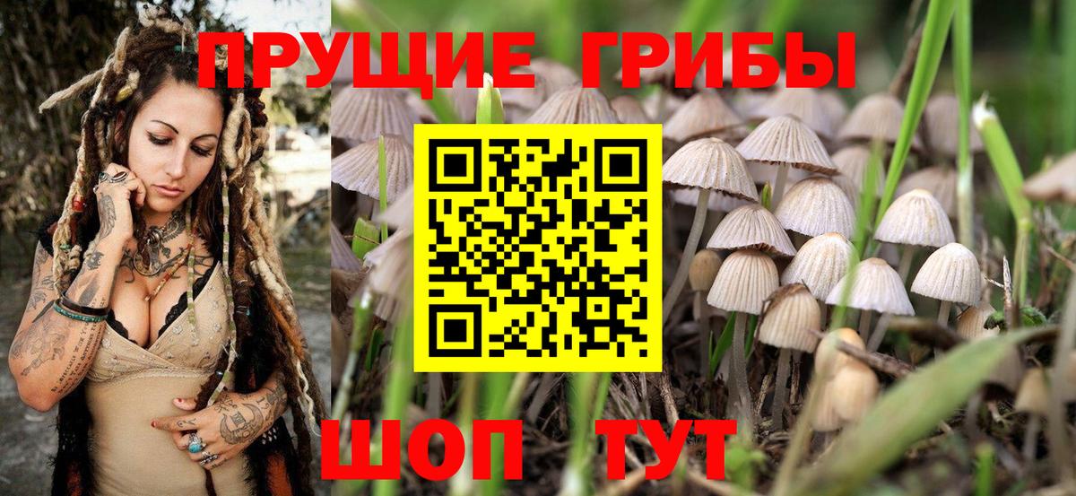 Гусь-Хрустальный  Псилоцибиновые грибы Cubensis  Вход с VPN 